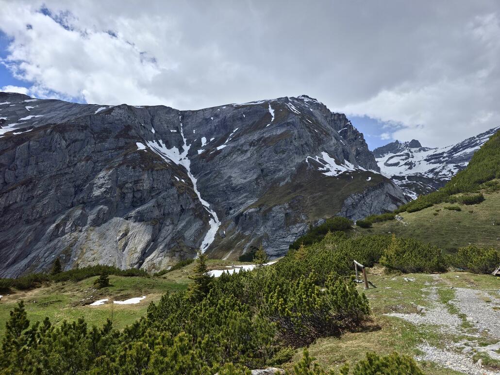 Blick hoch in Richtung des namensgebenden Ringelspitz