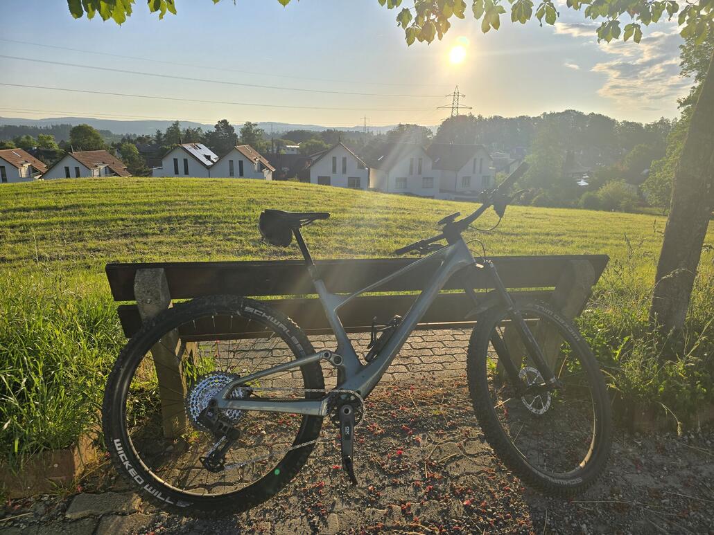 Morgenstimmung um kurz vor 7 auf dem Weg in Richtung Bahnhof.