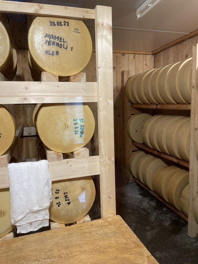 In der Hütte kann auch der Käseproduktion zugesehen werden, unterwegs gibts noch Käselager und beschriebene Abläufe