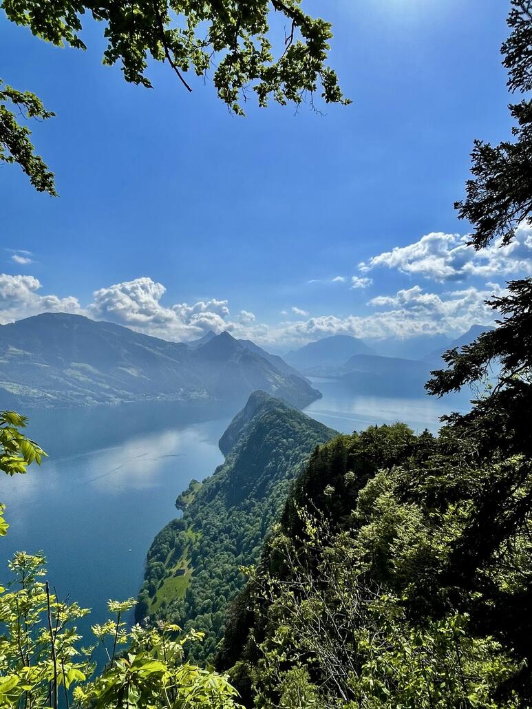 Der Bergrücken in der Mitte „untere Nas“ trennt die zwei grössten Becken des Vierwaldstättersees.