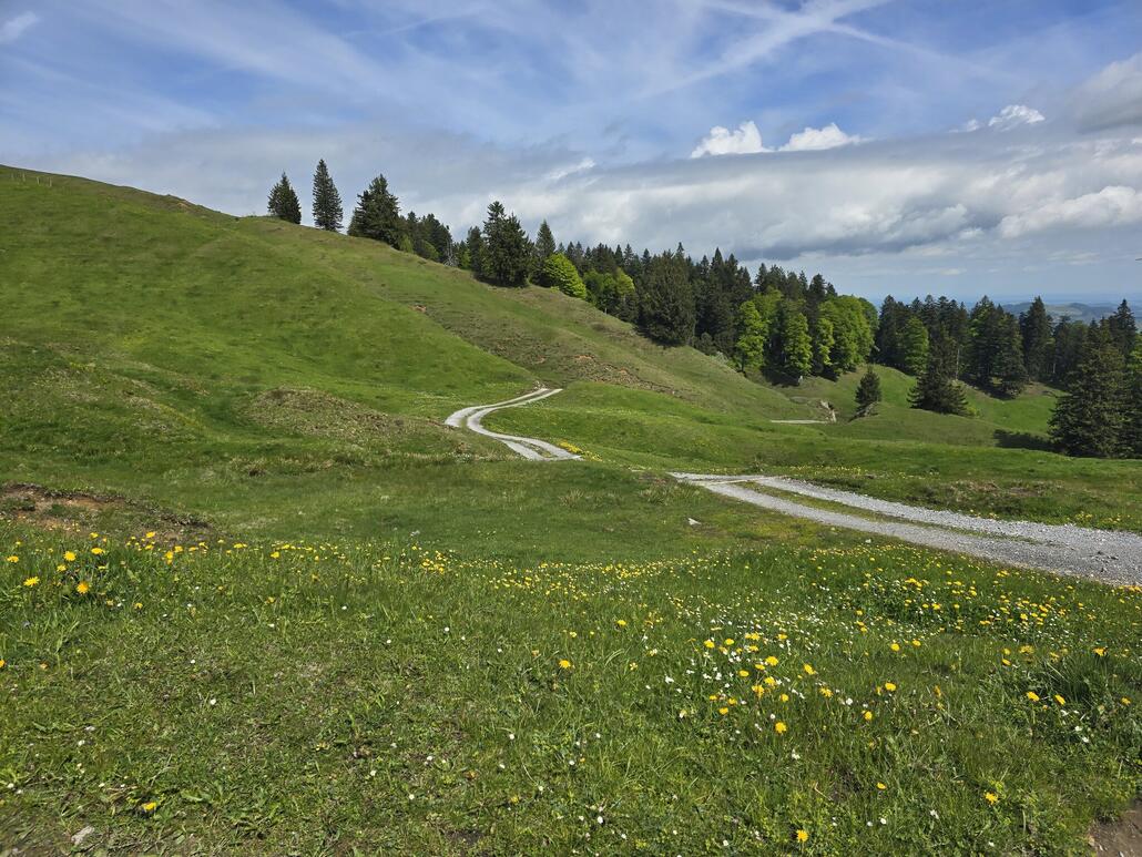 Aufstiegsstrasse. Im oberen Teil gibt es einige äusserst steile Rampen mit über 20%
