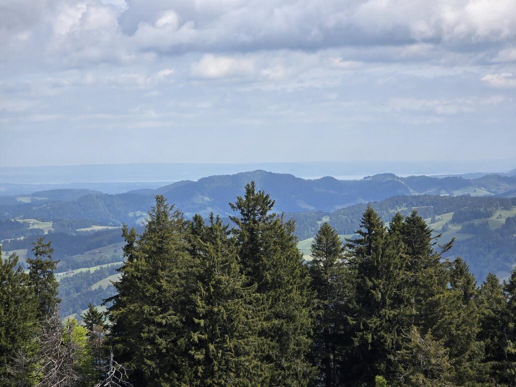 Die Fernsicht ist heute nicht allzu gut, so ist der Bodensee nur knapp zu erahnen