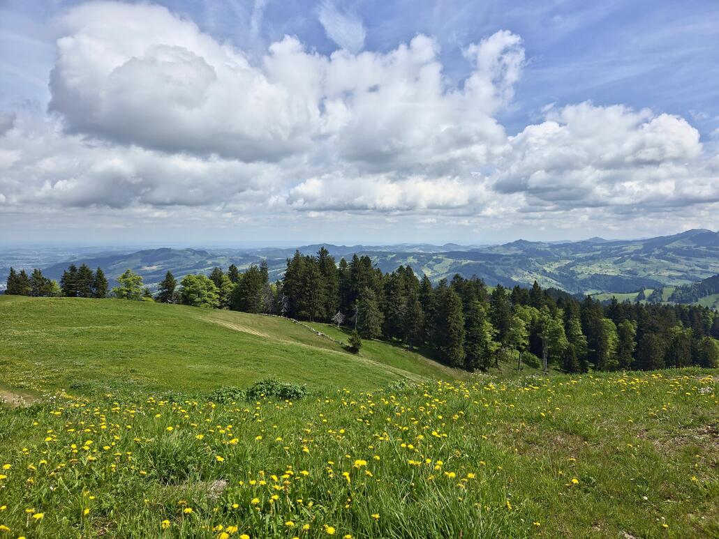 Blick in Richtung Bodensee