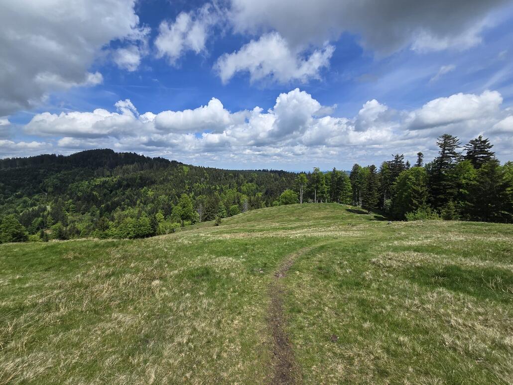 Unterwegs auf dem Bergrücken in Richtung Regelstein