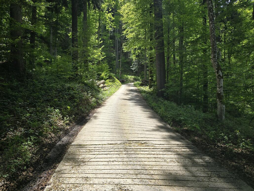 Unterwegs zur Chrüzegg. Die Steilheit kommt auf dem Bild nicht richtig rüber.