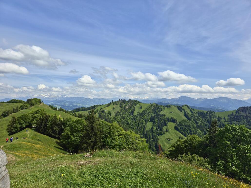 Blick von der Chrüzegg in richtung Toggenburg