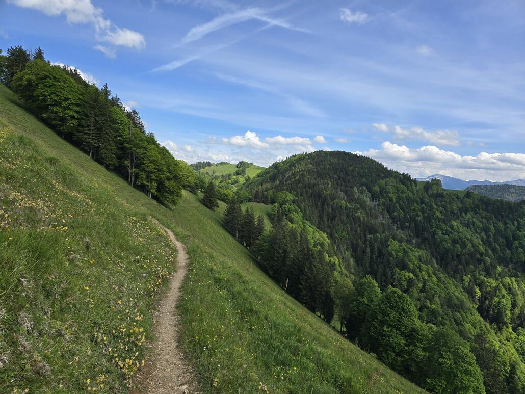 Ideales Mountainbike-Gelände