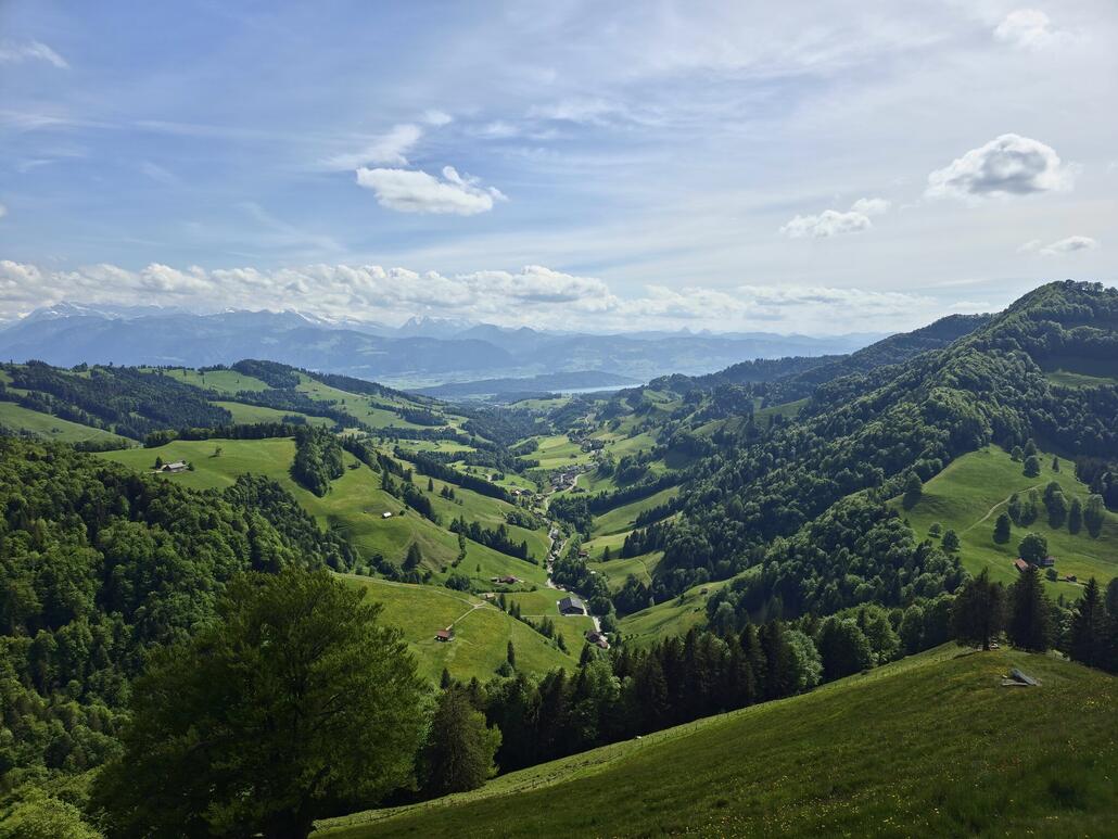 Blick runter nach Goldingen und zum Obersee