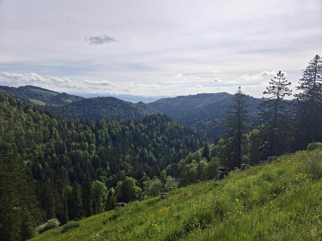 Das Quellgebiet der Töss hat mit den steilen und tiefen Tälern ihren speziellen Reiz.