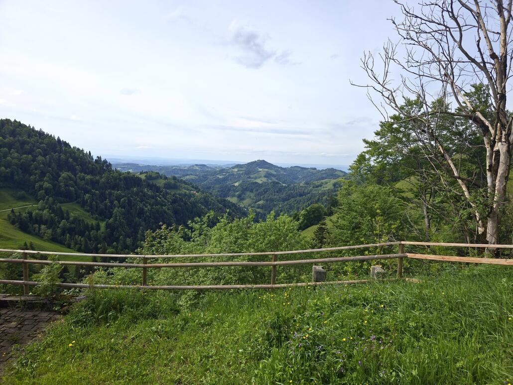 Angekommen beim Tierhag, Blick zum Hörnli