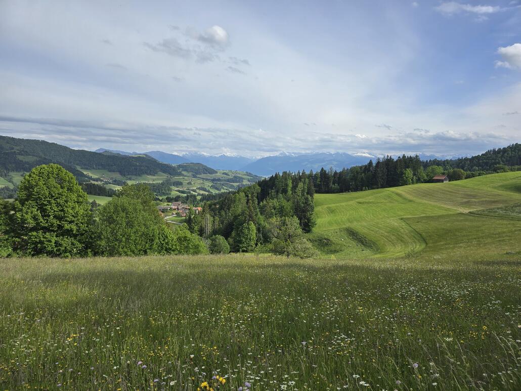 Angekommen im Ghöch, Blick zurück in Richtung Alpen