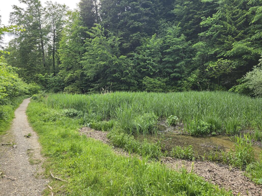 Unterwegs im Kemptnertobel