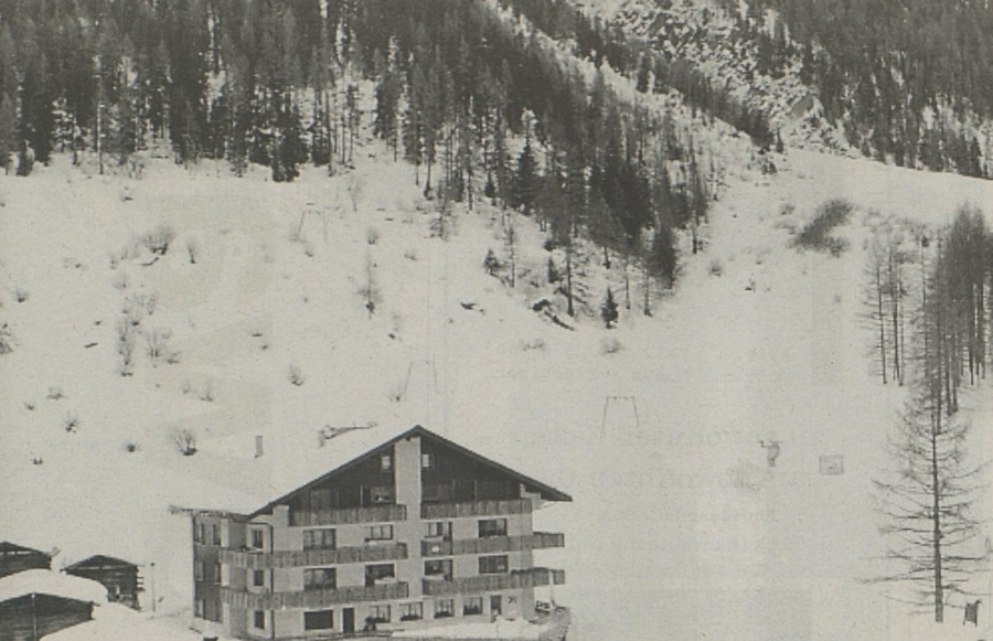 Walliser Bote, 24.01.1994