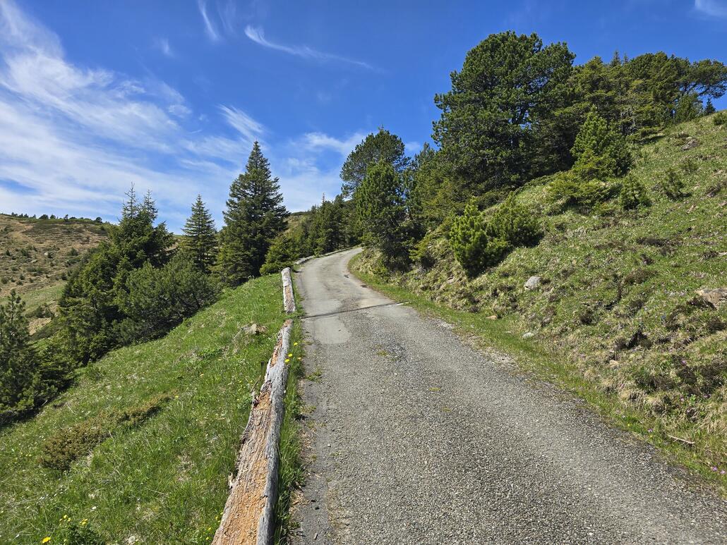 Weiter geht es auf dem steilen Strässchen bergauf