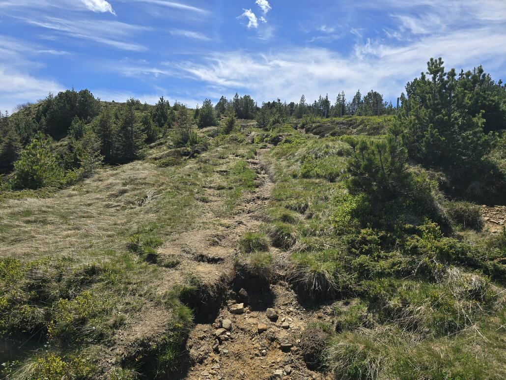 Unterwegs zur Trogenegg, aufwärts nicht immer sinnvoll fahrbar.