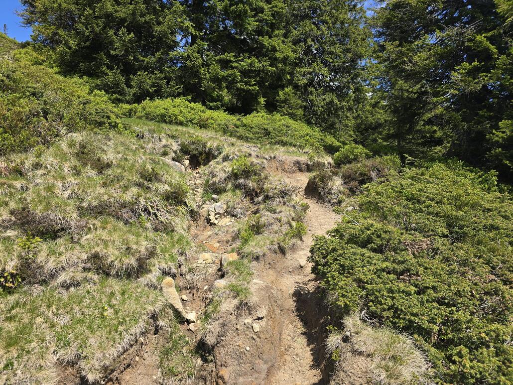 Der Trail runter zum Sattelpass ist stellenweise doch ziemlich anspruchsvoll