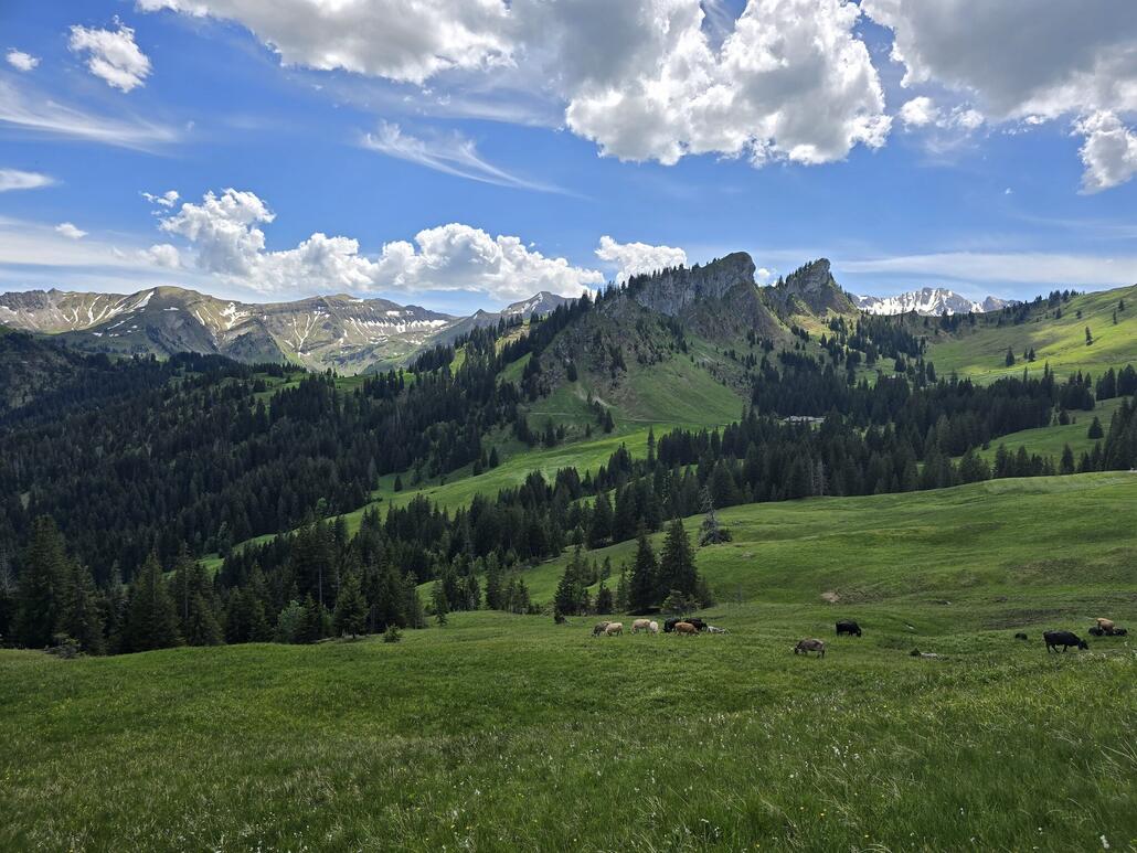 Landschaftlich vermag die Gegend hier vollends zu überzeugen