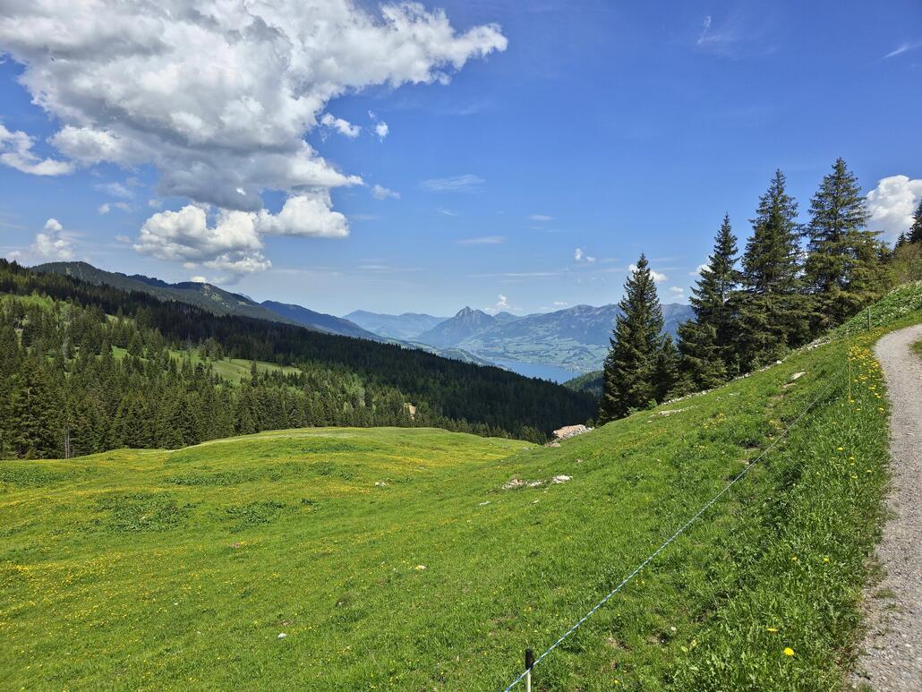Zwischendurch wird auch immer wieder der Blick auf den Sarnersee frei