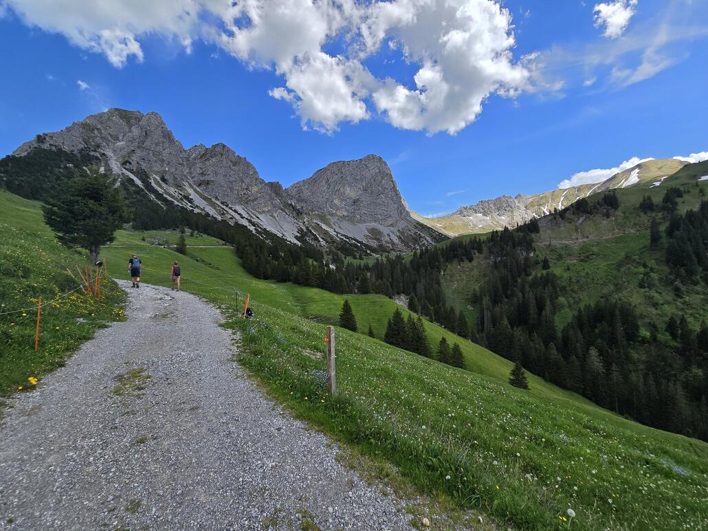 Weiter geht es bergauf auf der zunehmend steiler werdenden Schotterstrasse. Ziel ist die Chringe mit den drei Strommasten am Bergkamm