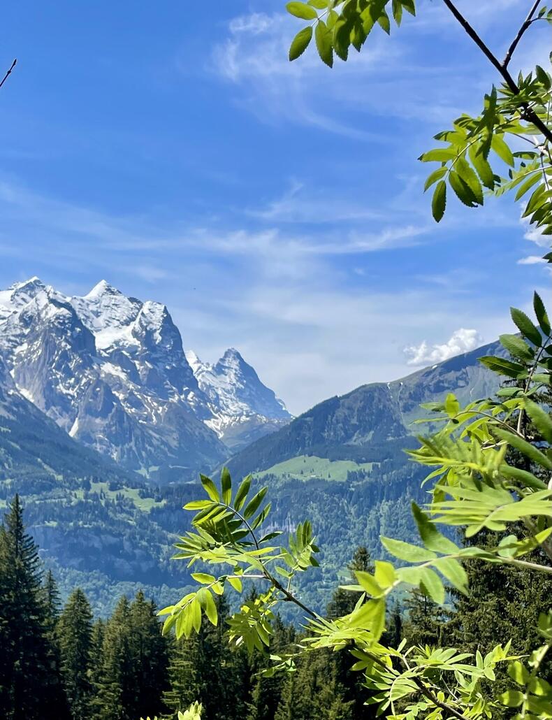 Herrlich der Blick zu den Schneebergen.
