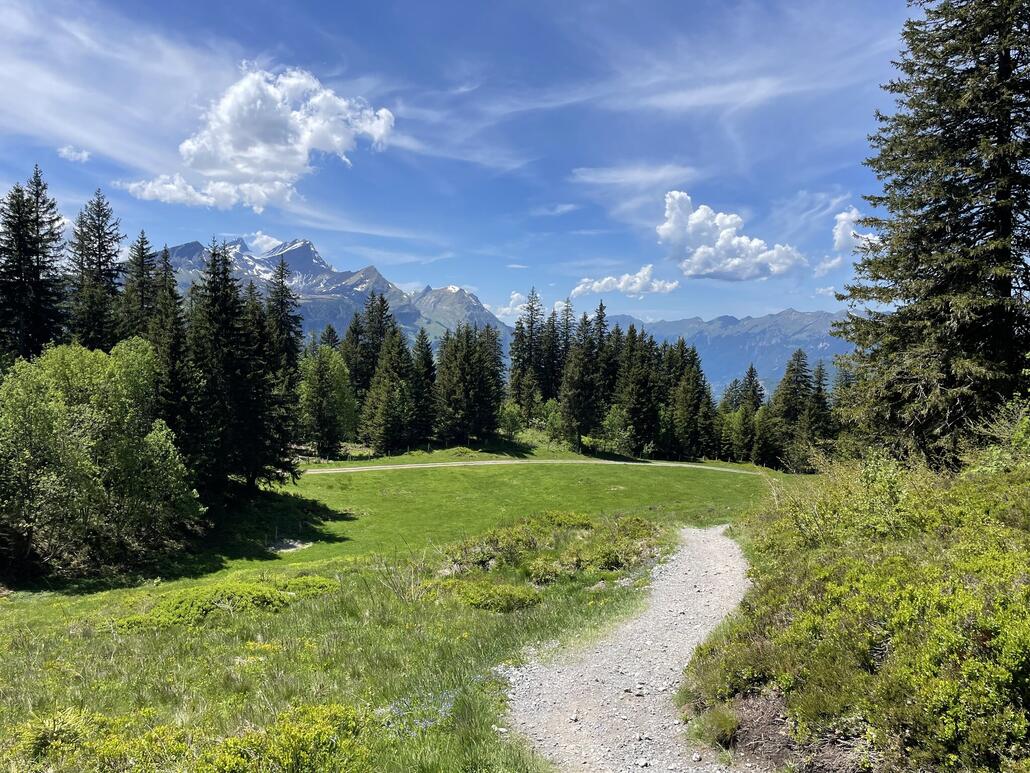 Der Weg verläuft immer leicht bergan