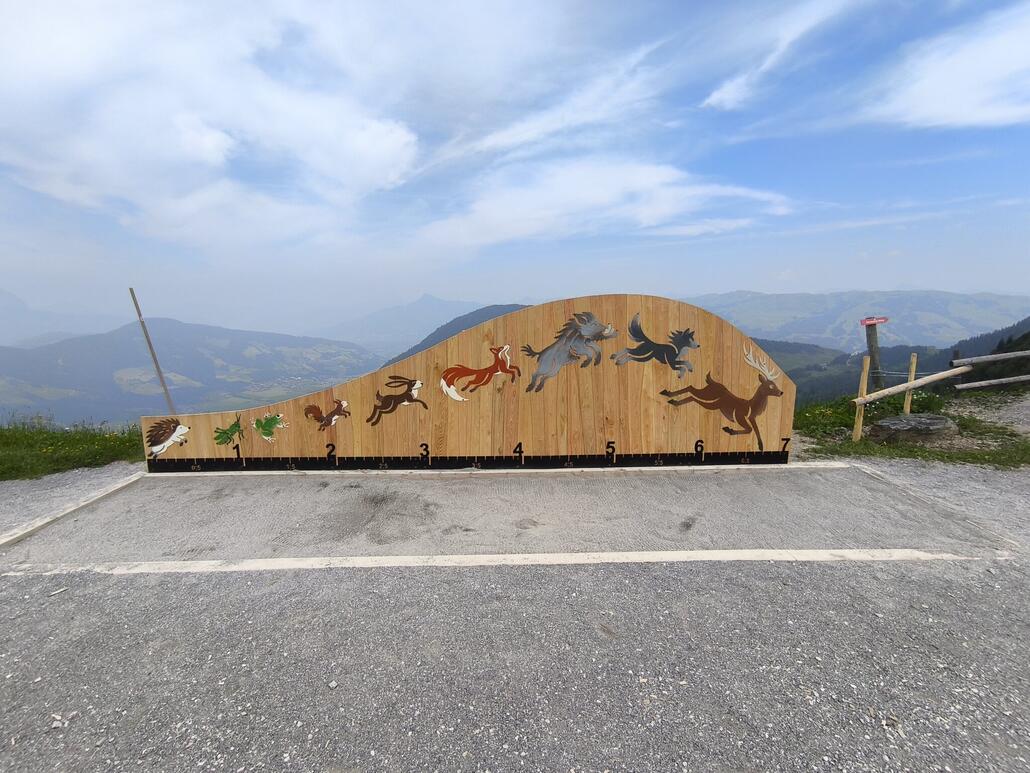 Weitsprung würde erneuert