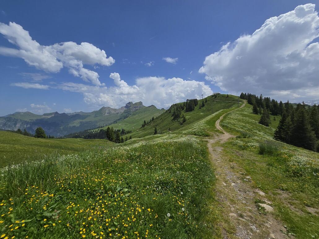 Das Ziel kommt in Sichtweite