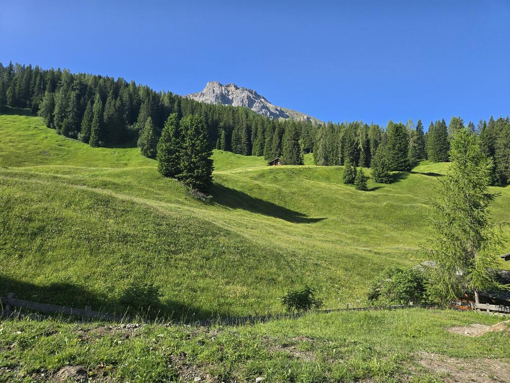 20250622_090408.jpg (1.14 MiB) 727 mal betrachtet Angekommen bei der Schwendi. Sehr nette Landschaft hier.