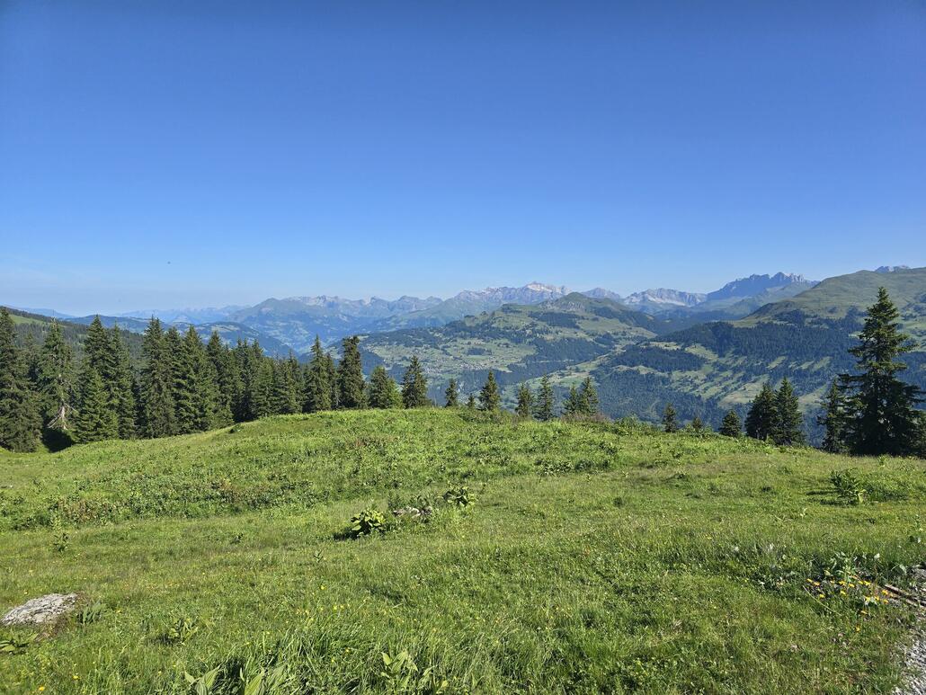 20250622_093104.jpg (920.11 KiB) 727 mal betrachtet Blick ins Prättigau. Die Fernsicht ist um Welten besser als vor zwei Wochen, als ich auf dem Durannapass war.