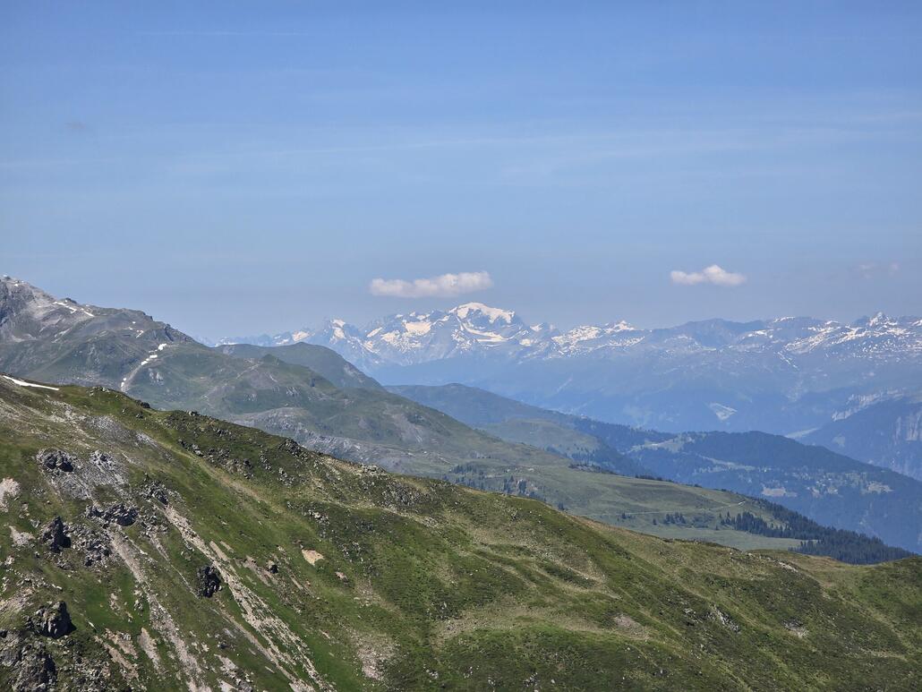 20250622_123232.jpg (576.55 KiB) 729 mal betrachtet Tödi