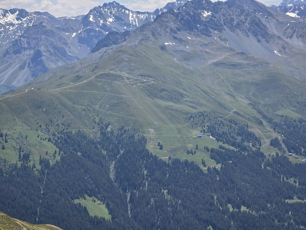 20250622_130059.jpg (688.07 KiB) 732 mal betrachtet Und Rinerhorn