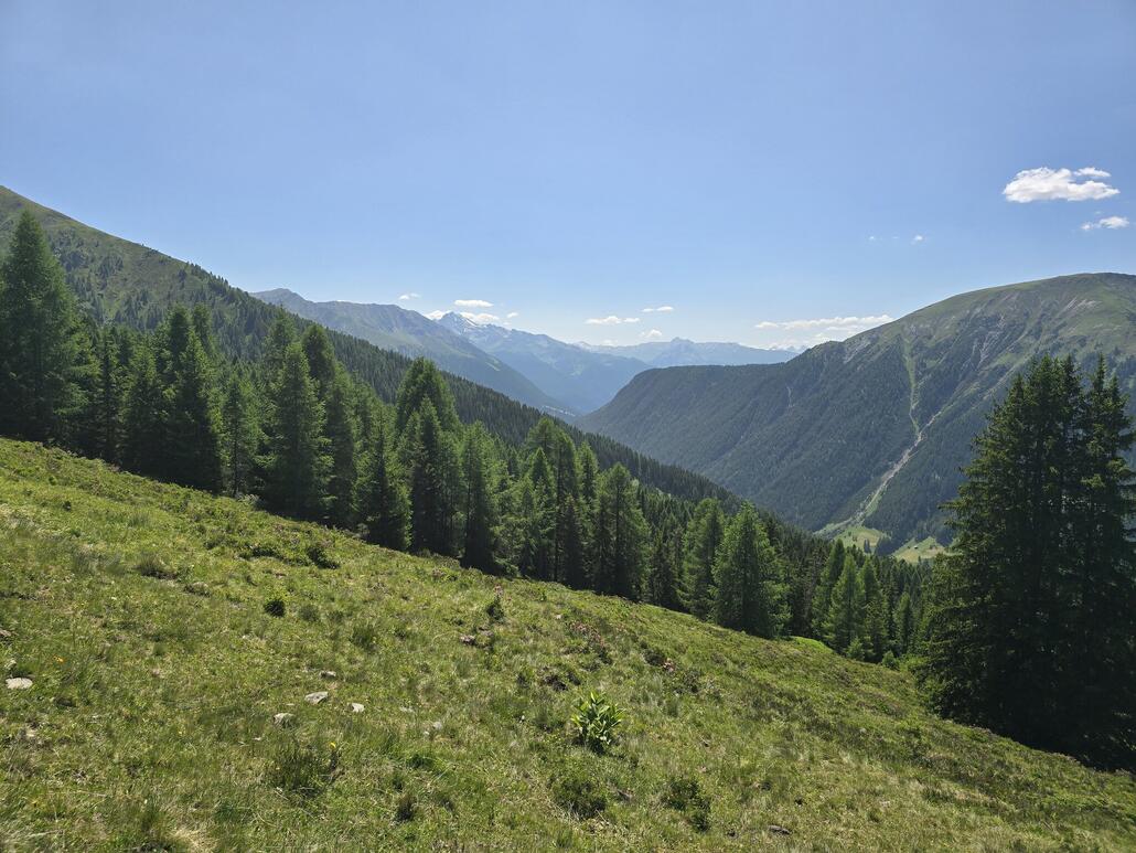 Der Blick das Tal hinunter ist im Sommer genauso schön wie im Winter.