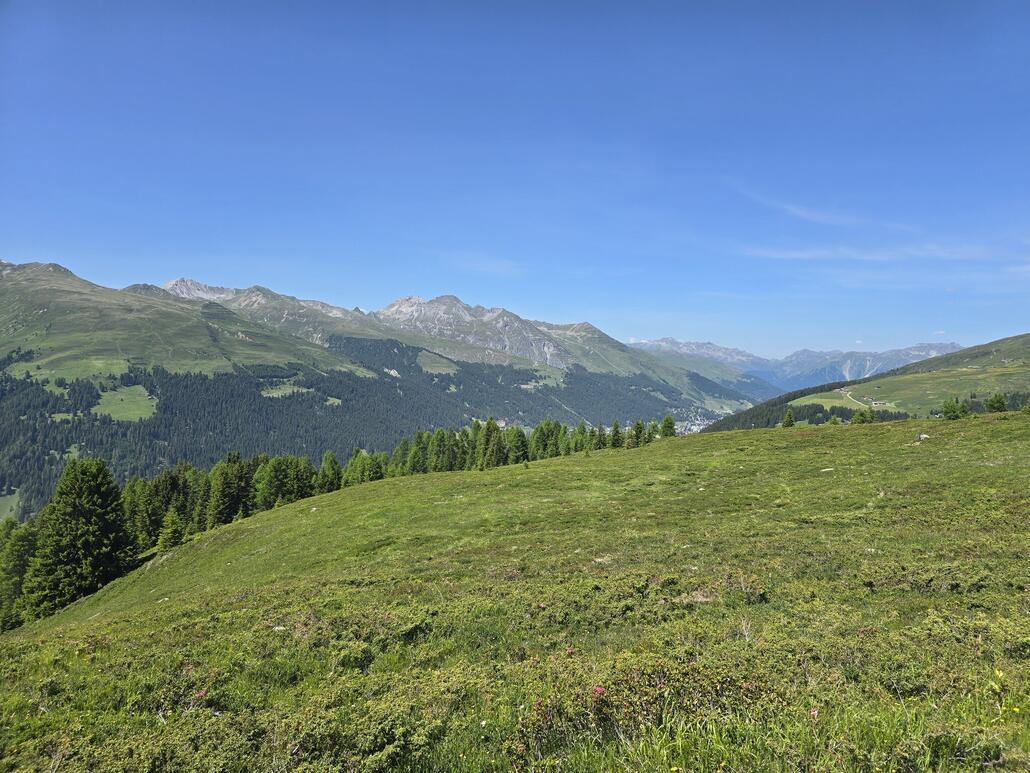 20250622_151411.jpg (899.8 KiB) 729 mal betrachtet Kurz nach der Kreuzung des Hubel-Lifts. Auch hier kann sich das Panorama durchaus sehen lassen.