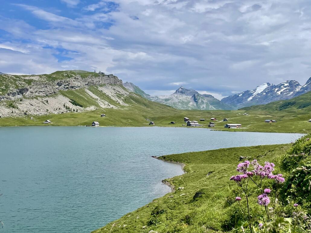 Blick zum Distelboden mit Bonistock