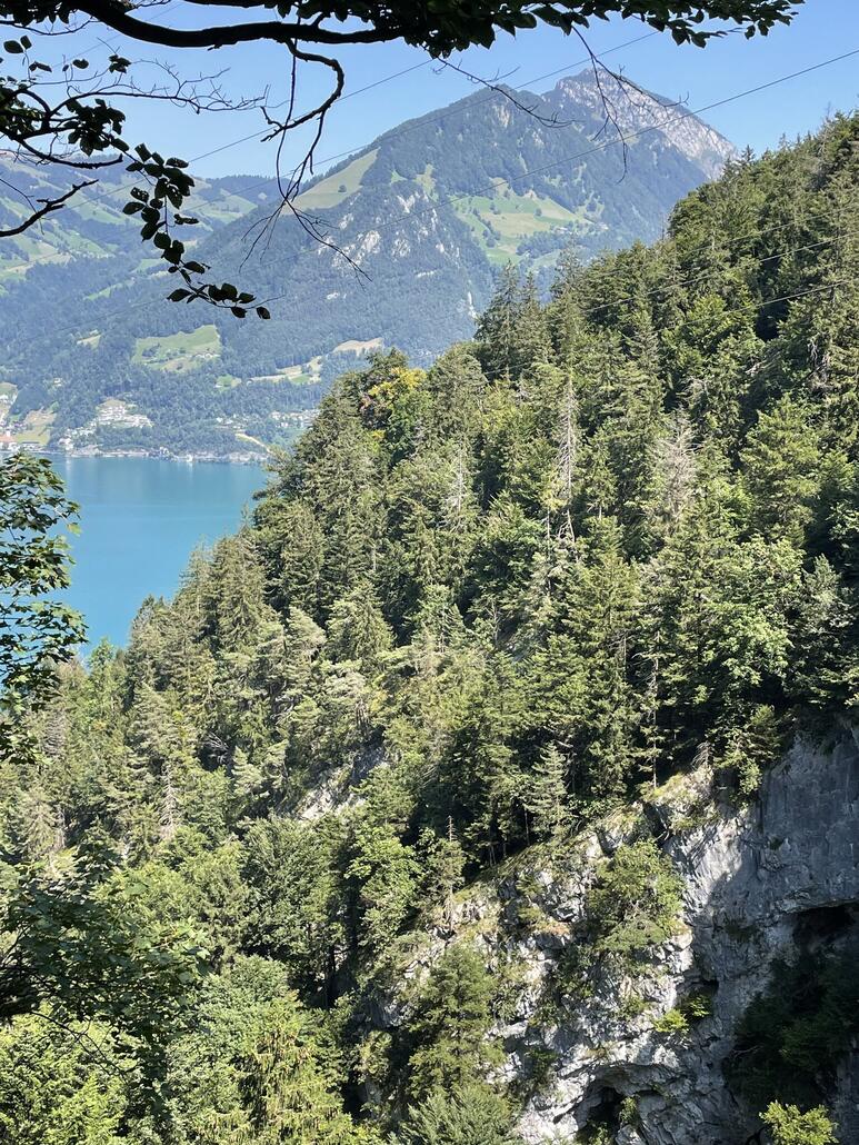 am Anfang befindet man sich weit über der Schlucht an der Felswand.