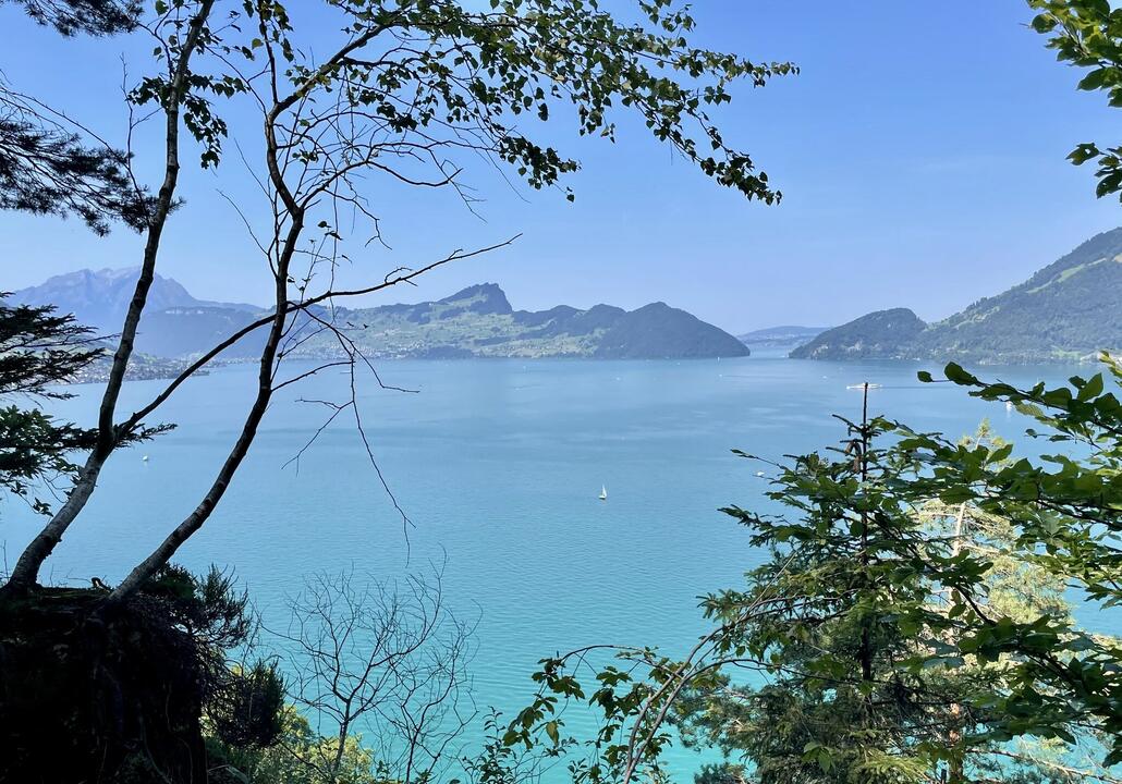 Mit Ausblicke zum See