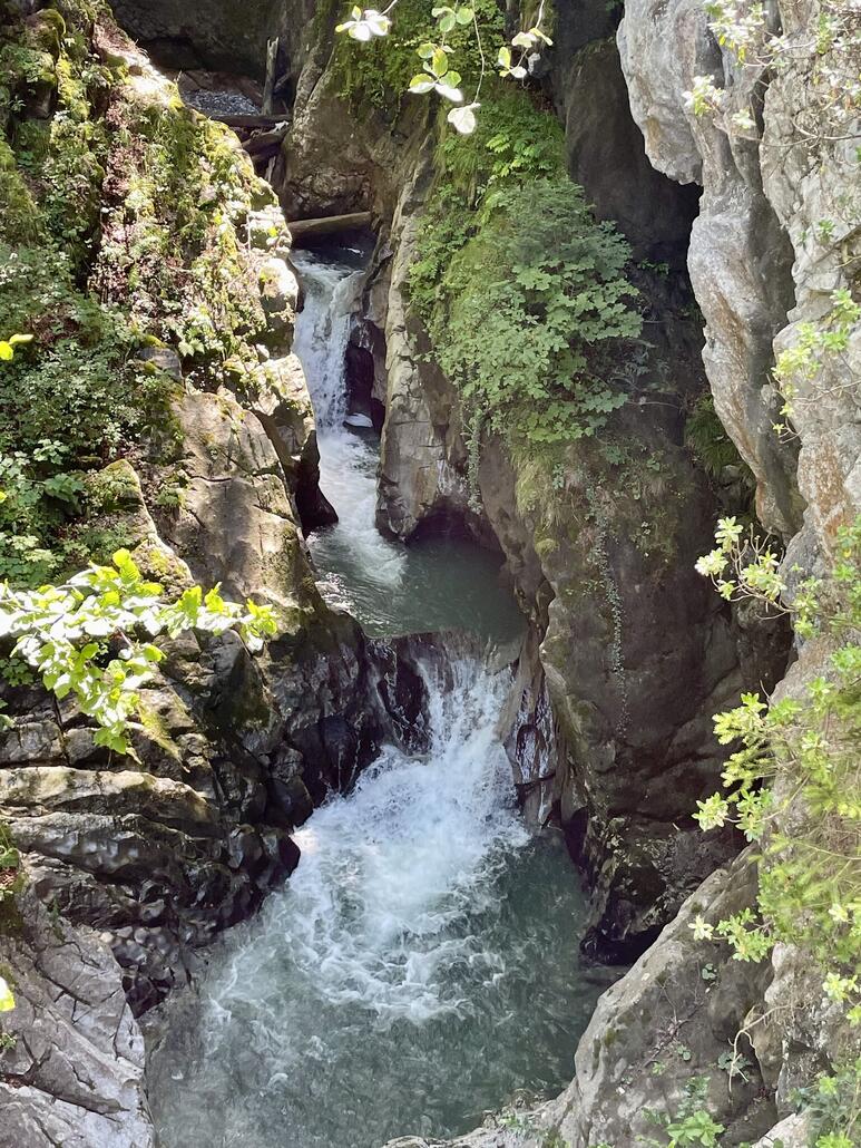 Weiter unten gehts dem „Choltalbach“ entlang, der diese Schlucht ausgefressen hat. Entspringt ursprünglich bei der Twäregg/Stockhütte