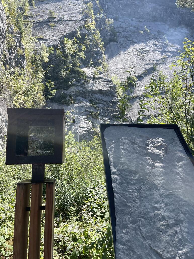 Unterhalb der Felswand hats noch Infotafeln zu den Spuren.