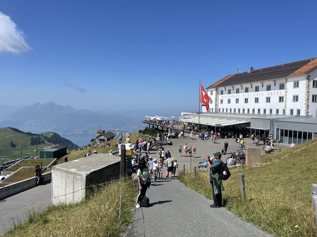 Natürlich ein Ameisenhaufe