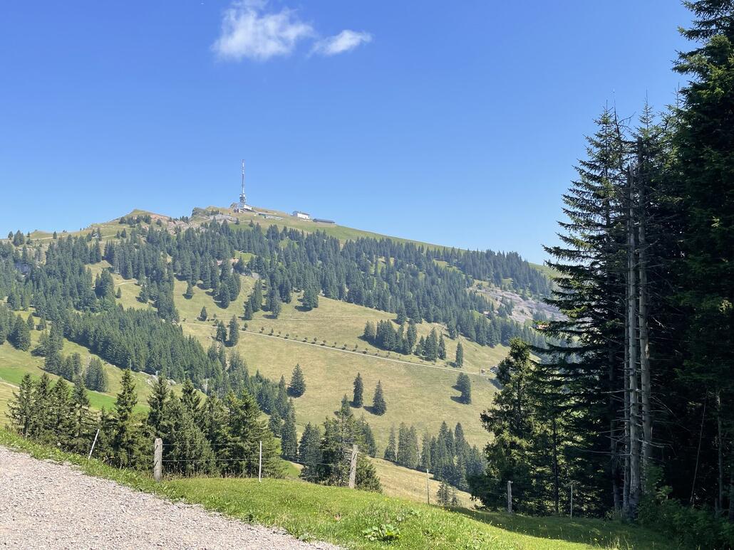 Blick zum Gipfel zurück