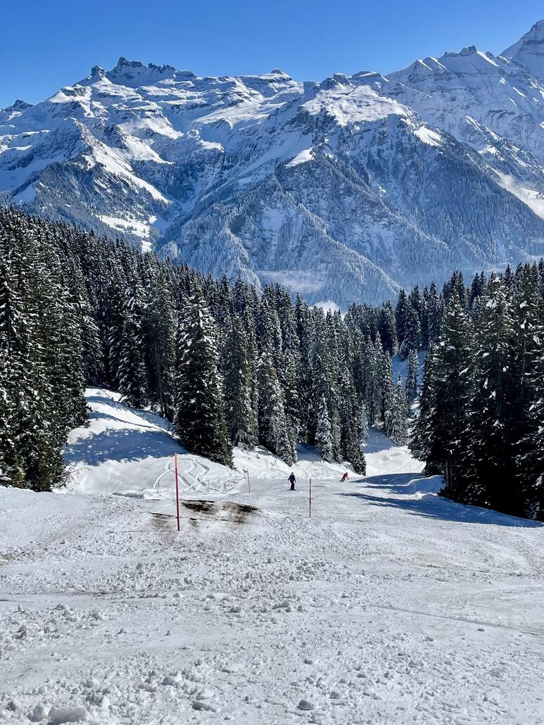 Hier auf einer roten Piste nach Grotzenbühl