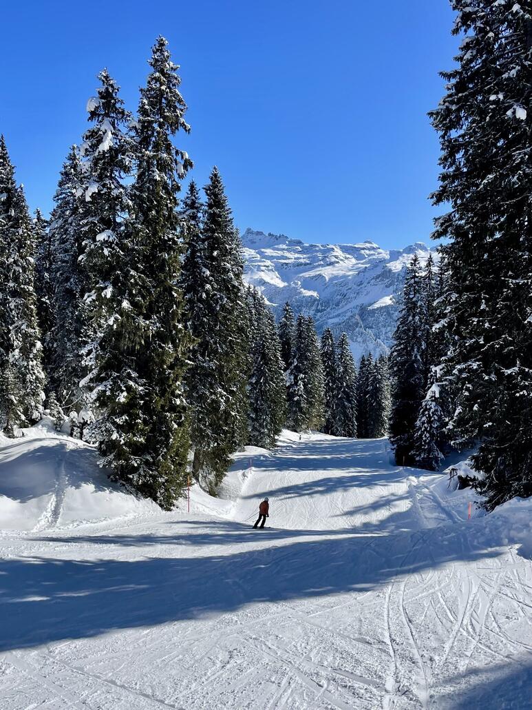 Schöne Waldabfahrten