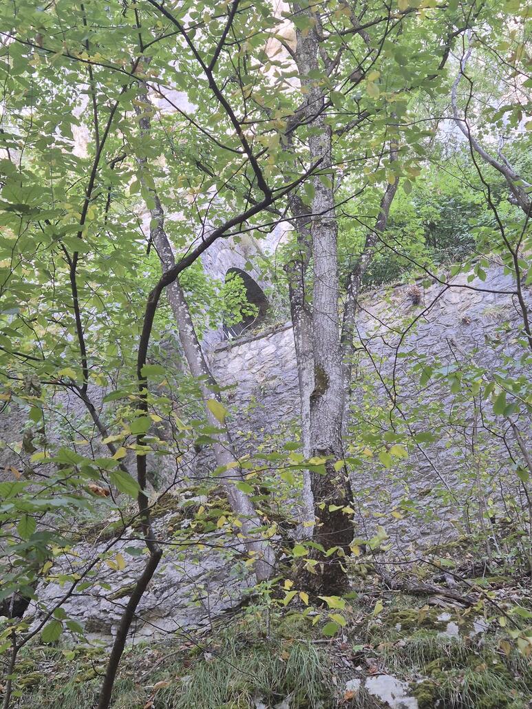 20250812_125003 (1).jpg