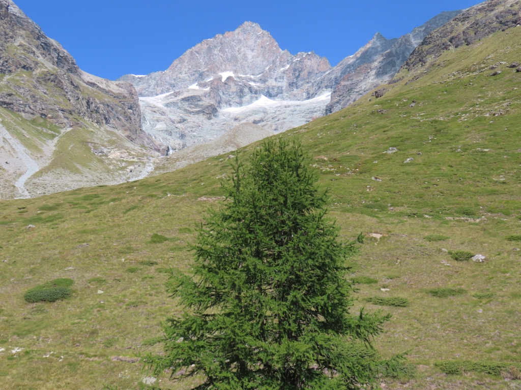 Obergabelhorn von meinem Rastplatz und Umkehrpunkt