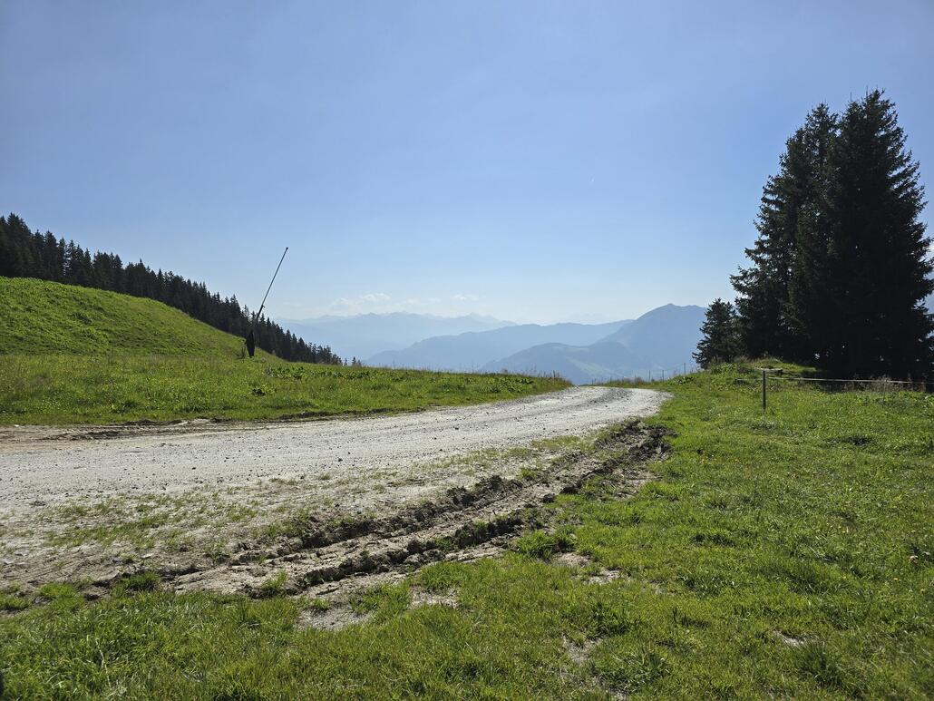 Hier lege ich eine Pause ein. Den Scheilanzen zu urteilen verläuft hier im Winter eine Piste, müsste wohl die 52 sein. Diese bin ich in all den Jahren Skiferien in Flims irgendwie kaum je gefahren. Vom Crap nach Curnius haben wir jeweils die 64 oder bevor sie zur Freestyle-Piste umfunktioniert wurde die 60 bevorzugt.