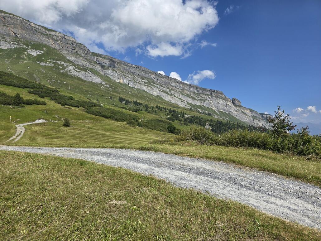 Plaun Desch, Blick hoch zum Naraus und dem imposanten Flimserstein.