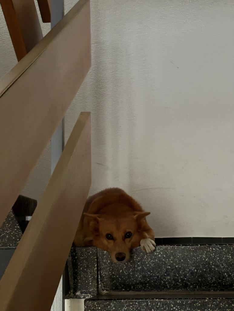 Zuhause wollte Skype wohl nicht so richtig funktionieren. Am Tag zuvor waren wir noch bei praller Sonne im Sunnegga-Gebiet in Zermatt unterwegs. Die Hitze hat das Wallis fest im Griff. Doch heute sollte es bewölkt und leicht regnerisch sein.