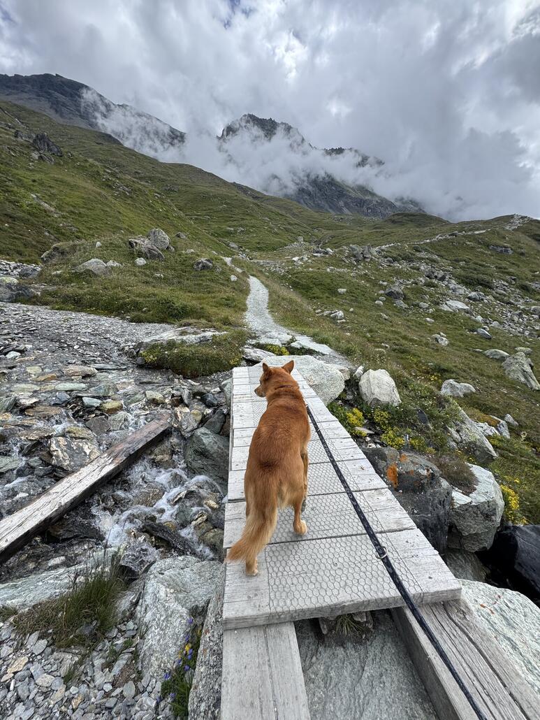 Von Châteaupré gehts gleich los auf die östliche Talseite