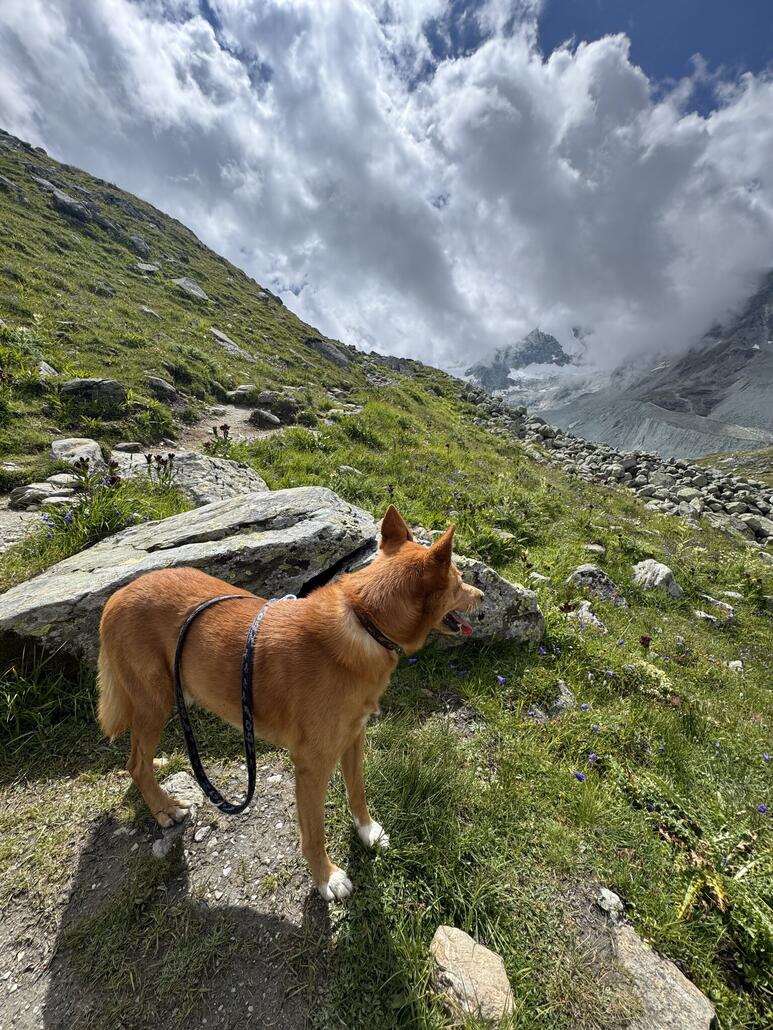 Die Sonne kommt immer wieder.