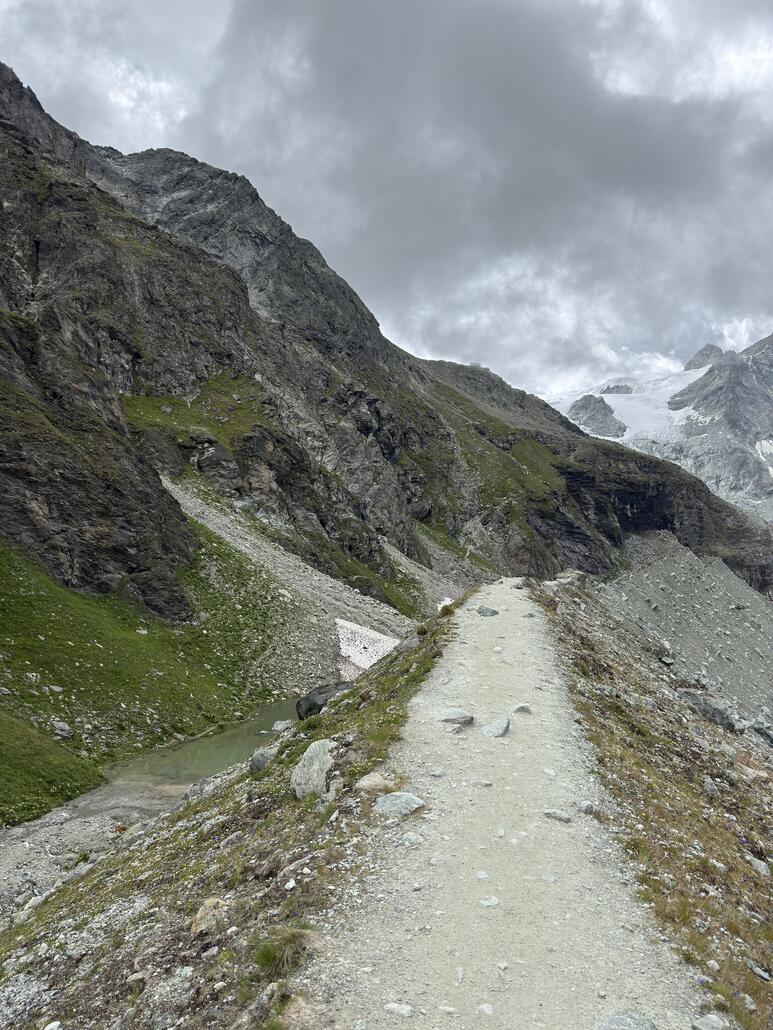 Auf der Moräne, wer findet den Hund?